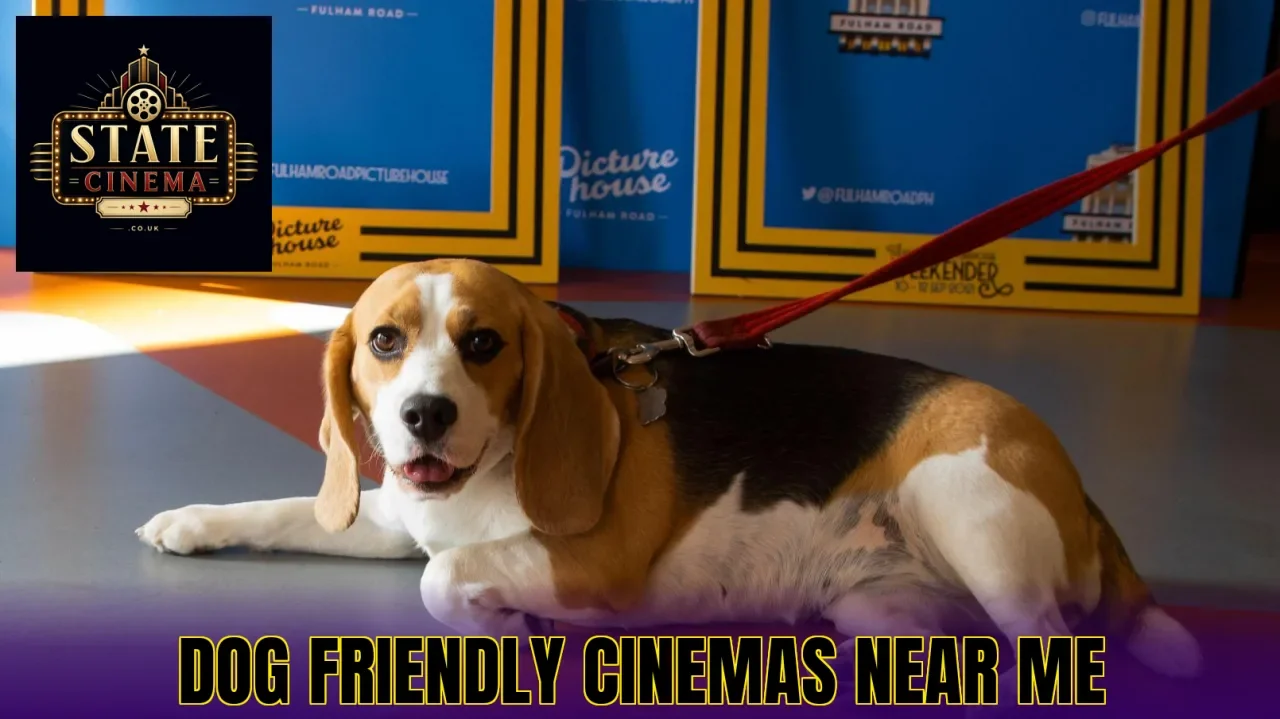 Dog Friendly Cinemas Near Me