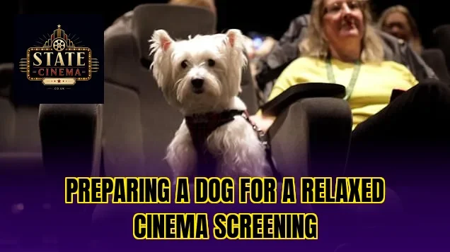 Preparing a dog for a relaxed cinema screening